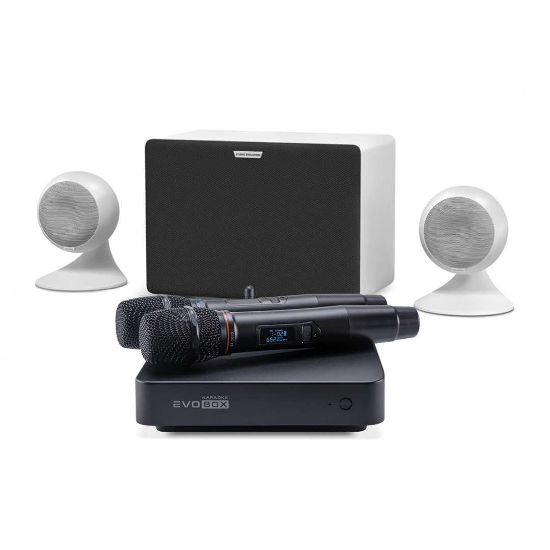 караоке-комплект EVOBOX Classic + EvoSound Sphere 2.1 в Подольске