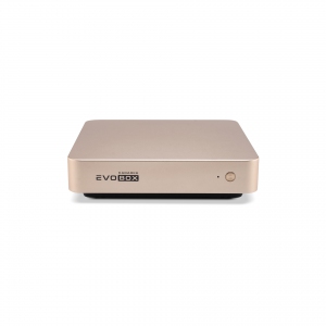 EVOBOX с микрофонами в Подольске